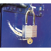 Laminated Steel Padlock, 50 x 31mm