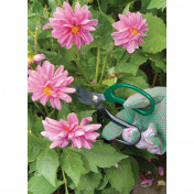 Soft Grip Garden Scissor Set (2 Piece)