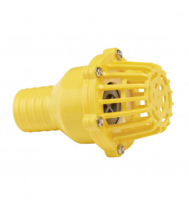 Foot Valve Strainer, 50mm/2