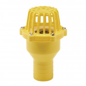 Foot Valve Strainer, 50mm/2