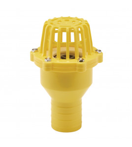 Foot Valve Strainer, 50mm/2