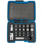 Draper TX-STAR® 1/4, Plus Bit Set, 3/8 Sq. Dr. (23 Piece)