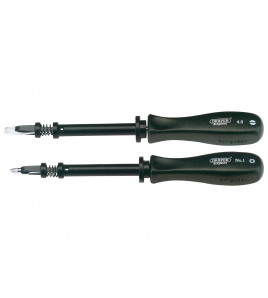 Draper Expert Screw Holding Mechanics Screwdriver Set (2 Piece)