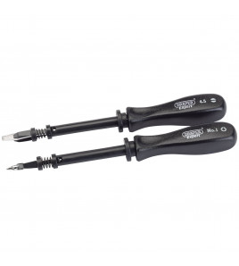 Draper Expert Screw Holding Mechanics Screwdriver Set (2 Piece)