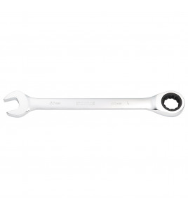 Metric Ratcheting Combination Spanner, 22mm