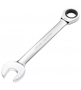 Metric Ratcheting Combination Spanner, 25mm