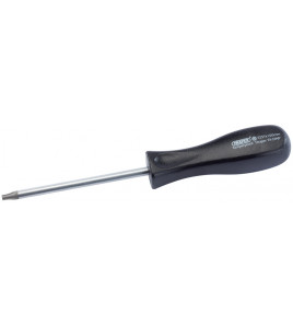 Draper TX-STAR® Security Screwdriver, T25T x 100mm