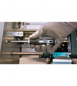 Draper Expert Cross Slot Soft Grip Screwdriver, No.2 x 100mm