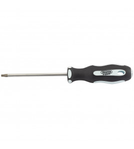 Draper Expert TX-STAR® Soft Grip Screwdriver, T20 x 100mm