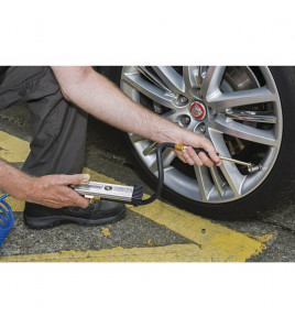 Air Line Inflator with Twin Open Ended Push On Connector