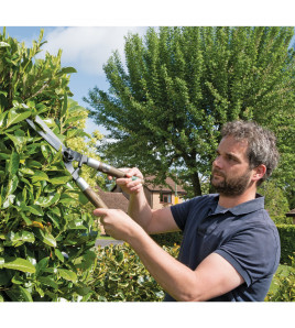 Garden Shears with Straight Edges and Ash Handles, 230mm
