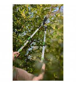 Draper Expert Telescopic Soft Grip Bypass Ratchet Action Loppers with Aluminium Handles