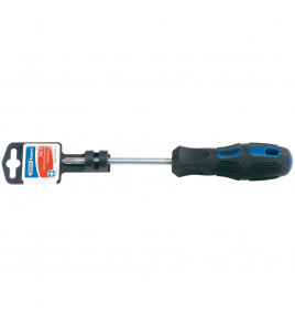 Draper Expert Cross Slot Screwdriver, No.2 x 100mm