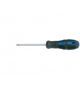 Draper Expert Cross Slot Screwdriver, No.2 x 100mm (Sold Loose)