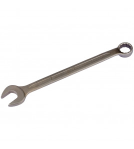Elora Long Stainless Steel Combination Spanner, 22mm