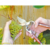 Bypass Pattern Secateurs with Wooden Handles, 210mm