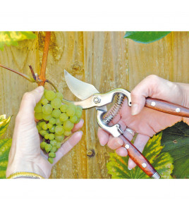 Bypass Pattern Secateurs with Wooden Handles, 210mm