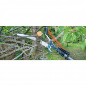 Draper Expert Tree Pruner with Telescopic Handle, 32mm Diameter