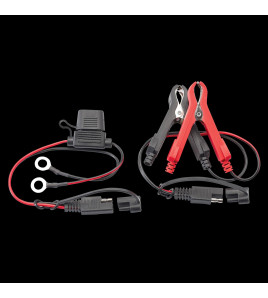 6/12V Smart Charger and Battery Maintainer, 2A