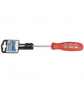 Draper Expert Plain Slot Parallel Tip Mechanics Screwdriver, 5 x 100mm