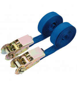 Ratcheting Tie Down Straps, 4.5m x 25mm, 250kg (2 Piece)