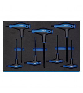 Draper Expert T' Handle Ball End Hexagon Key Set in 3/4 Drawer Eva Insert Tray (7 Piece)