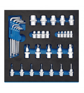Draper Expert  TX-STAR® Screwdriver Insert Bits and Keys in 1/2 Drawer EVA Insert Tray (35 Piece)