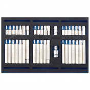 Screwdriver Insert Bit Set in 1/4 Drawer EVA Insert Tray (40 Piece)