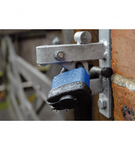 Laminated Steel Padlock and 2 Keys with Hardened Steel Shackle and Bumper, 54mm