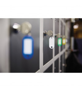 Assorted Key Tags (Pack of 50)