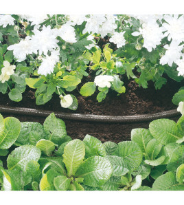 Perforated Soaker Hose, 12mm Bore, 15m, Black