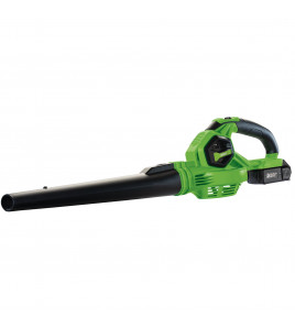 D20 20V Leaf Blower, 1 x 2.0Ah Battery, 1 x Charger