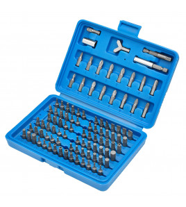 Screwdriver Bit Set (100 Piece)