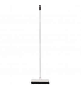 Broom with Handle