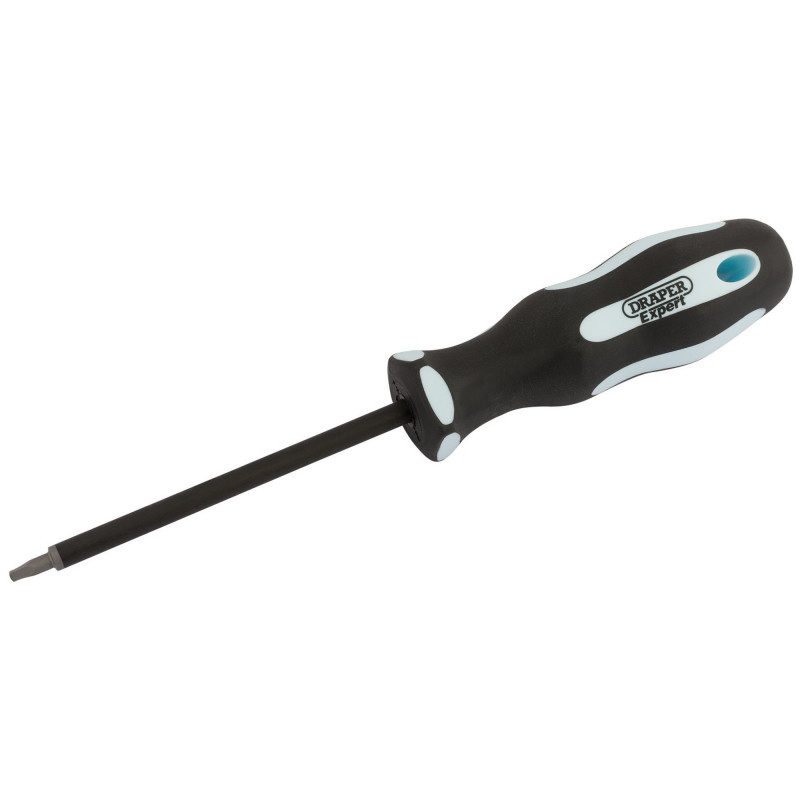 Draper Expert Square Recess Soft Grip Security Screwdriver, S1 x 100mm
