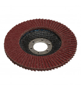 Aluminium Oxide Flap Disc, 115 x 22.23mm, 60 Grit