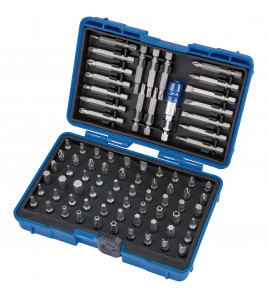 Screwdriver and Bit Holder Set (80 Piece)