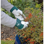 Draper Expert Premium Leather Gardening Gloves, Extra Large