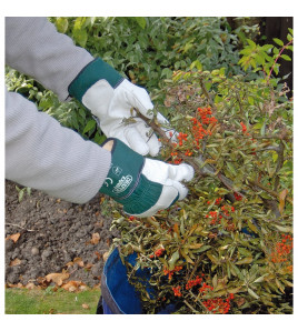 Draper Expert Premium Leather Gardening Gloves, Extra Large