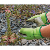 Draper Expert Medium Duty Gardening Gloves, M