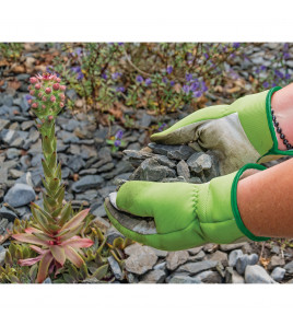 Draper Expert Medium Duty Gardening Gloves, M