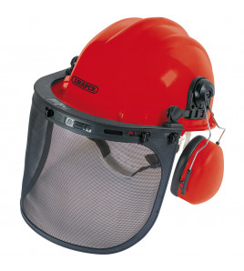 Forestry Helmet