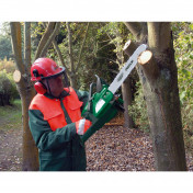 Forestry Helmet