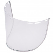 Spare Faceshield Visor