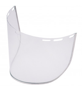 Spare Faceshield Visor
