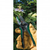 Anvil Pattern Secateurs, 175mm