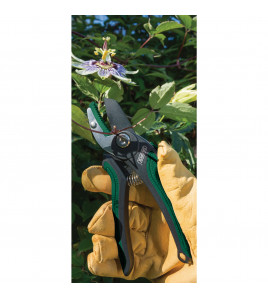 Anvil Pattern Secateurs, 175mm