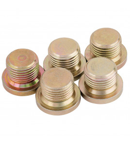 Spare Bolt M17 x 1.50 for 36631