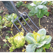 Carbon Steel Garden Fork