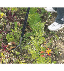 Carbon Steel Dutch Hoe